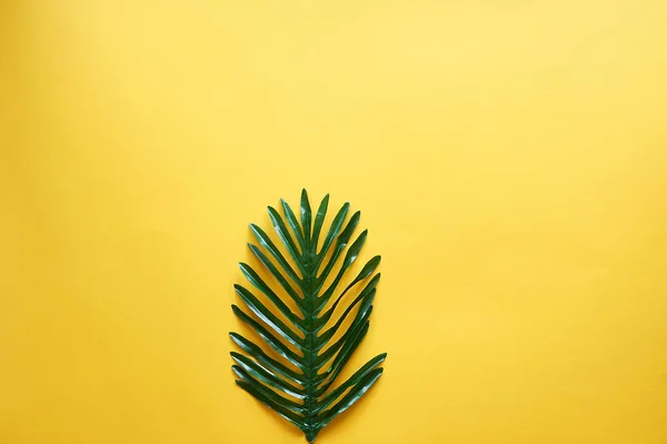 黄色の背景にヤシの木の葉。テキストのための場所。創造性とミニマリズム. — ストック写真
