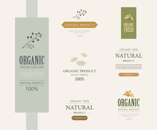 Conjunto de etiqueta natural y etiqueta ecológica de color verde. diseño de elementos vintage . — Vector de stock