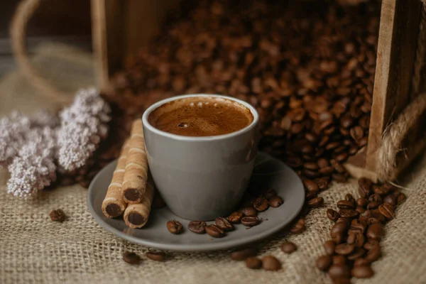 Siyah Arka Planda Koyu Kahve Detaylar — Stok fotoğraf