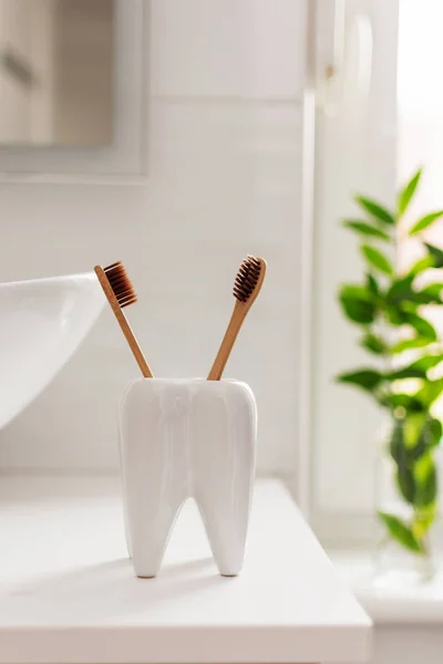 Banyo beyaz iç tarafında, diş şeklindeki bir bardakta biyolojik olarak çözünebilir, gübrelenebilir bambu diş fırçaları. Arkaplanda yeşil bitki dekoru.