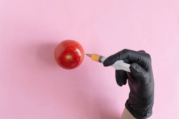 Processamento químico de vegetais, fertilizantes e OGM. Mão de pessoa injeta produtos químicos em tomate, fertilizantes OGM e produtos químicos com uma seringa para aumentar a vida útil dos vegetais . — Fotografia de Stock