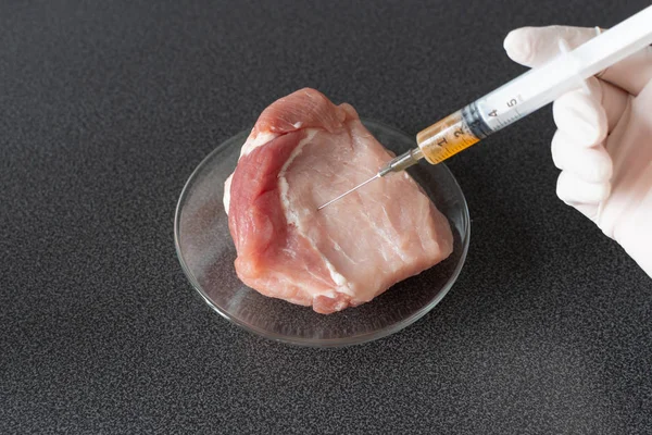 Researcher injecting GMO a slice of pork meat. Genetically modified organism, harmful for peples health. Meat with antibiotics concept.