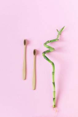 Pembe sırtında biyolojik olarak çözünebilen, gübrelenebilir iki bambu diş fırçası.