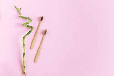 Pembe arka planda iki adet biyo-çözünebilir, gübrelenebilir bambu diş fırçası var. Yeşil bambu bitkisiyle süslenmiş..
