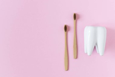 Pembe arka planda iki adet biyo-çözünebilir, gübrelenebilir bambu diş fırçası var. Yapay diş ile süsleme.