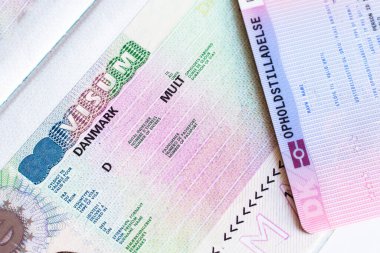 Schengen çok girişli vizesinin bir parçası pasaport kapanışında Danimarka vizesi.