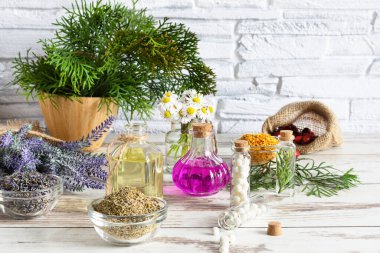 Ahşap masa arka planında alternatif tıp konsepti olarak çeşitli otlar ve bitkisel karışımlar. Homeopati tedavisi.