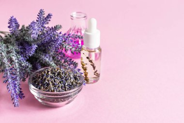 Bir demet lavanta çiçeği, kurutulmuş lavanta ve pembe arka planda aromatik lavanta yağı. Boşluğu kopyala.