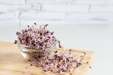 Ahşap masada cam kasede kırmızı lahana filizleri. Tohumlar filizlendi. Detoks. Sağlıklı yeme kavramı.