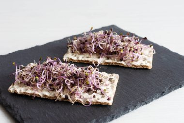 Siyah tahtada kırmızı lahana filizli çıtır ekmek. Tohumlar filizlendi. Detoks. Sağlıklı yeme kavramı.