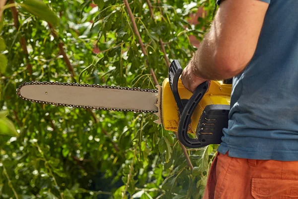 Lumberjack sawing a tree with a saw. A man cuts trees with a saw and professional tools. concern for nature. Spring garden. — Stock Photo, Image