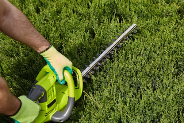 Bahçede çalış. Bahçıvan bitkileri kesiyor. Çim biçme makinesi çalışıyor. Çim biçme makinesi çalışıyor. Ev ve bahçe konsepti. Çim biçme makinesiyle çalış. Bitkiler için tutku.