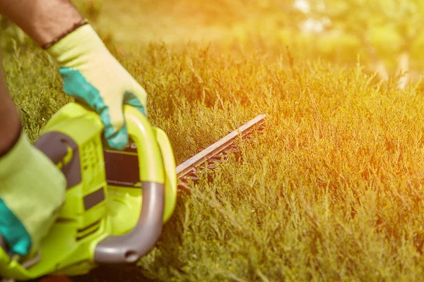 Bahçede çalış. Bahçıvan bitkileri kesiyor. Çim biçme makinesi çalışıyor. Çim biçme makinesi çalışıyor. Ev ve bahçe konsepti. Çim biçme makinesiyle çalış. Bitkiler için tutku.