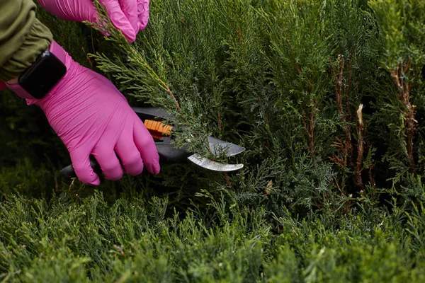 Zur Arbeit Garten Rasenmähen Garten Gartenschere Der Gärtner Gestaltet Die — Stockfoto