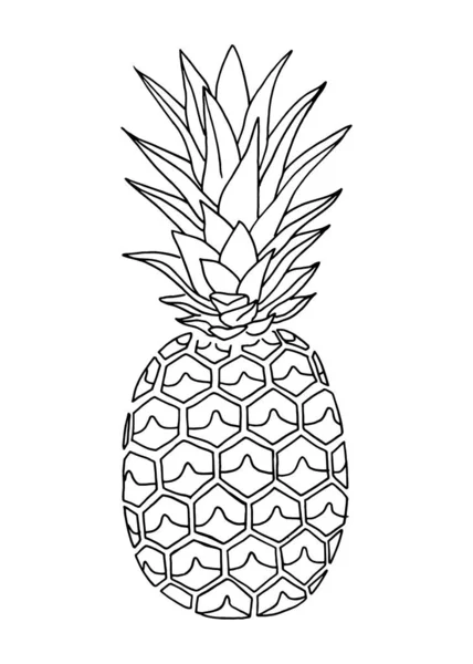 Ananas doodle, met de hand getekend met penseel — Stockvector