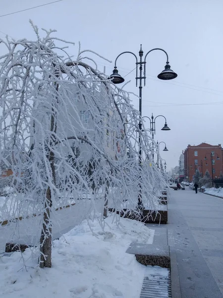 Άποψη του χειμερινού δρόμου της πόλης Omsk. — Φωτογραφία Αρχείου