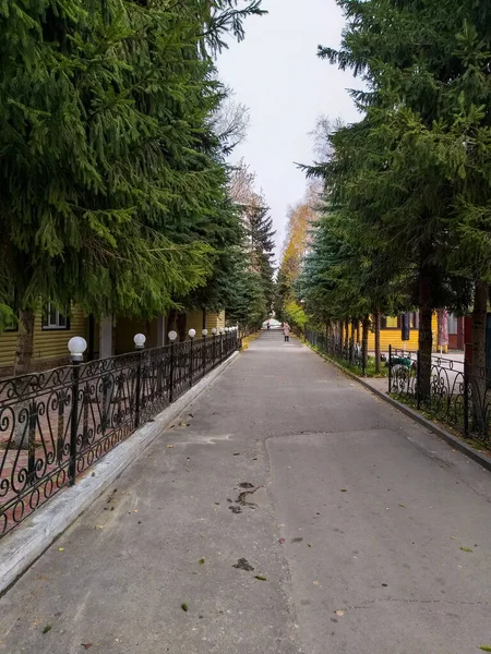 Вид на осеннюю улицу г. Омска . — стоковое фото