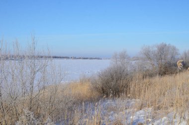 Irtysh Nehri 'nde Sabah