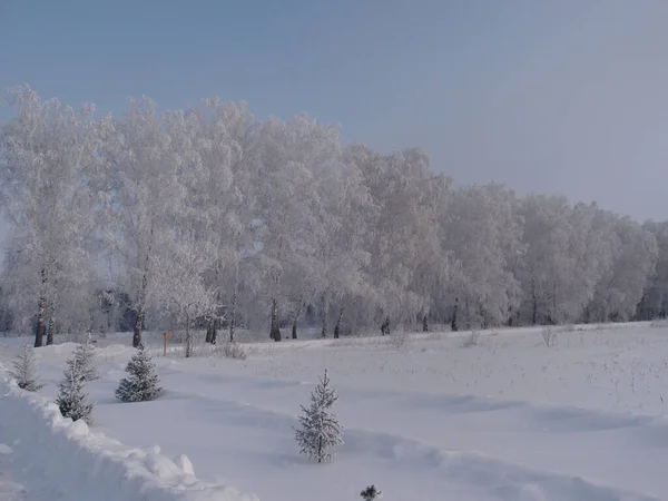 Зимовий вид на територію монастиря Акхейр. — стокове фото