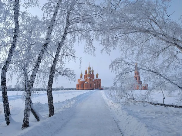 Winter view of the Cathedral of the Assumption of the Blessed Vi — Stock Photo, Image