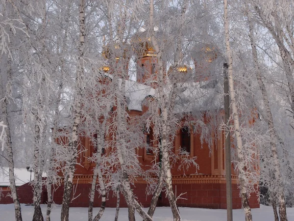 Winter view of the Temple of Dmitry Solunsky on the territory of — Stock Photo, Image