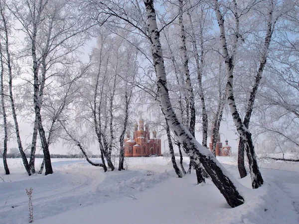 Winter view of the Cathedral of the Assumption of the Blessed Vi