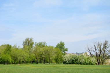 Park Kuş Limanı 'ndan Omsk şehrinin manzarası