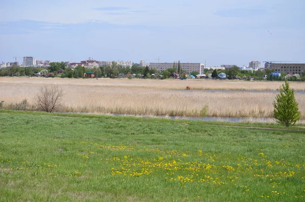 Uitzicht op de stad Omsk vanaf de haven van Park Bird — Stockfoto