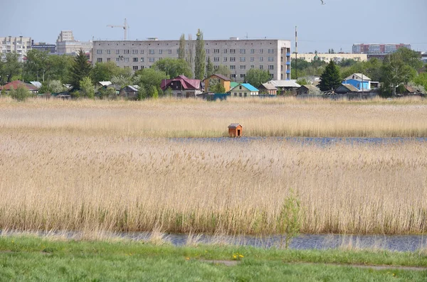 从公园鸟港俯瞰鄂木斯克市 — 图库照片