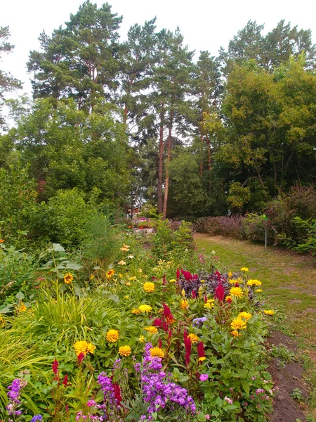 Uitzicht op bossen — Stockfoto