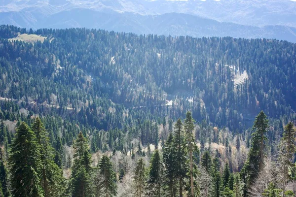 Uitzicht op de zuidelijke helling van Mount Rose Peak — Stockfoto