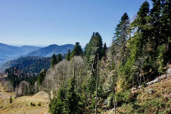 Uitzicht op de zuidelijke helling van Mount Rose Peak — Stockfoto