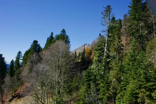 Uitzicht op de zuidelijke helling van Mount Rose Peak — Stockfoto