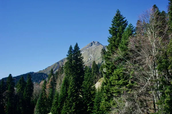 Prachtige landschappen van bergketens van het Kaukasus gebergte in de Krasnaya Polyana regio van Sochi, Rusland — Stockfoto