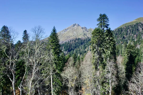 Prachtige landschappen van bergketens van het Kaukasus gebergte in de Krasnaya Polyana regio van Sochi, Rusland — Stockfoto