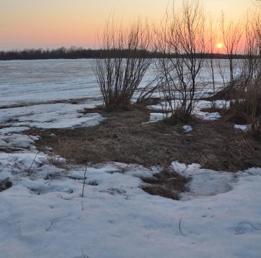 İrlanda 'da İlkbahar, Omsk Bölgesi
