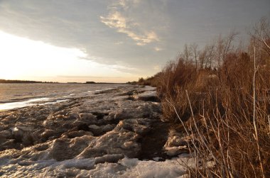 İrlanda 'da İlkbahar, Omsk Bölgesi