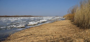 Irtysh nehri üzerinde buz akıntısı, Omsk bölgesi, Sibirya                                    