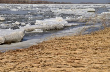 Irtysh nehri üzerinde buz akıntısı, Omsk bölgesi, Sibirya                                    