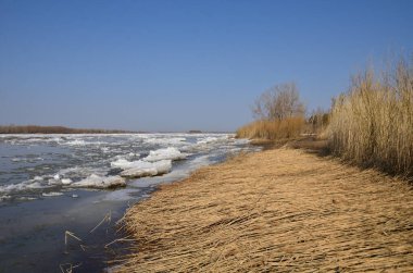 Irtysh nehri üzerinde buz akıntısı, Omsk bölgesi, Sibirya                                    