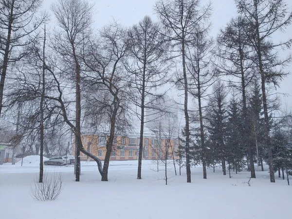 Omsk Oroszország Március 2020 Havazás Omszk Utcáin — Stock Fotó