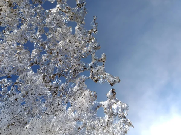 Eismuster Vor Blauem Himmel — Stockfoto