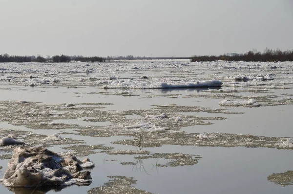 stock image Ice drift on the river Irtysh, Omsk region, Siberia                                    