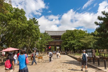 Nara, Japonya, 14th Ağustos 2015. Editoryal fotoğraf Todai Ji giriş: Nara, Japan.