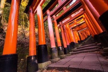 Kyoto, Japonya, 14th Ağustos 2015. Editoryal Fushimi Inari Taisha Kyoto fotoğrafı.