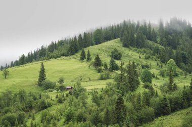 Bir dağ tepe üzerinde yalnız ev