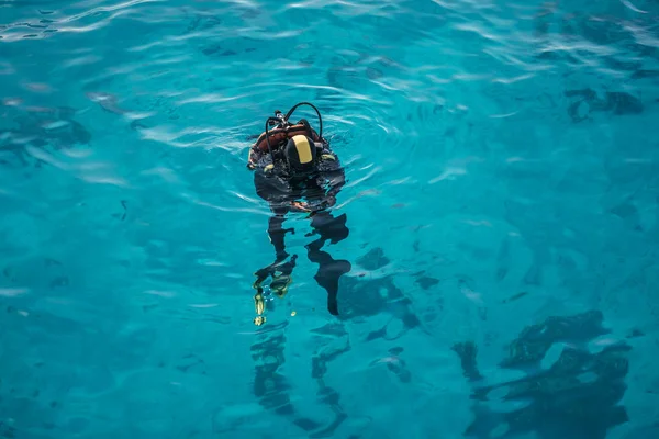 Diver in the coral sea with clear water looking into the water. — Stock Photo, Image