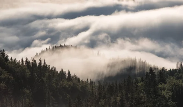 Montañas cubiertas de niebla matutina en verano —  Fotos de Stock