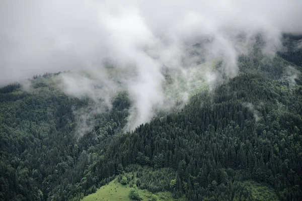 Montañas cubiertas de niebla matutina en verano —  Fotos de Stock