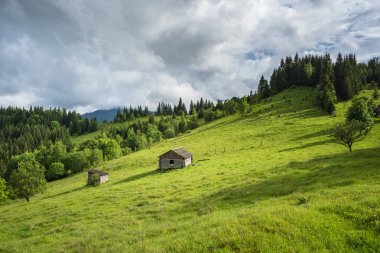 Bir dağ yamacında ve terk edilmiş köy evi yaz aylarında görüntülemek.